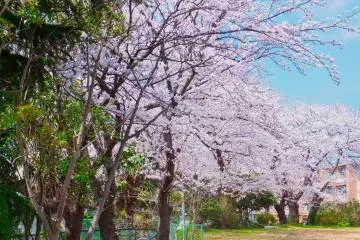 Higashi-Totsuka