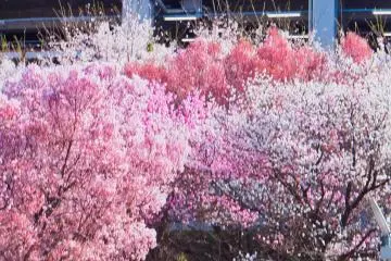 Higashi-Totsuka dekat stasiun