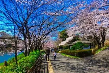 Taman Matsuike