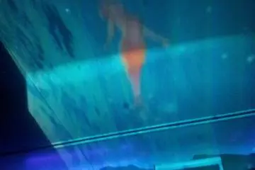 Goldfish on the ceiling