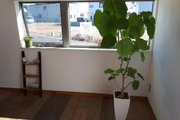 Simple decor