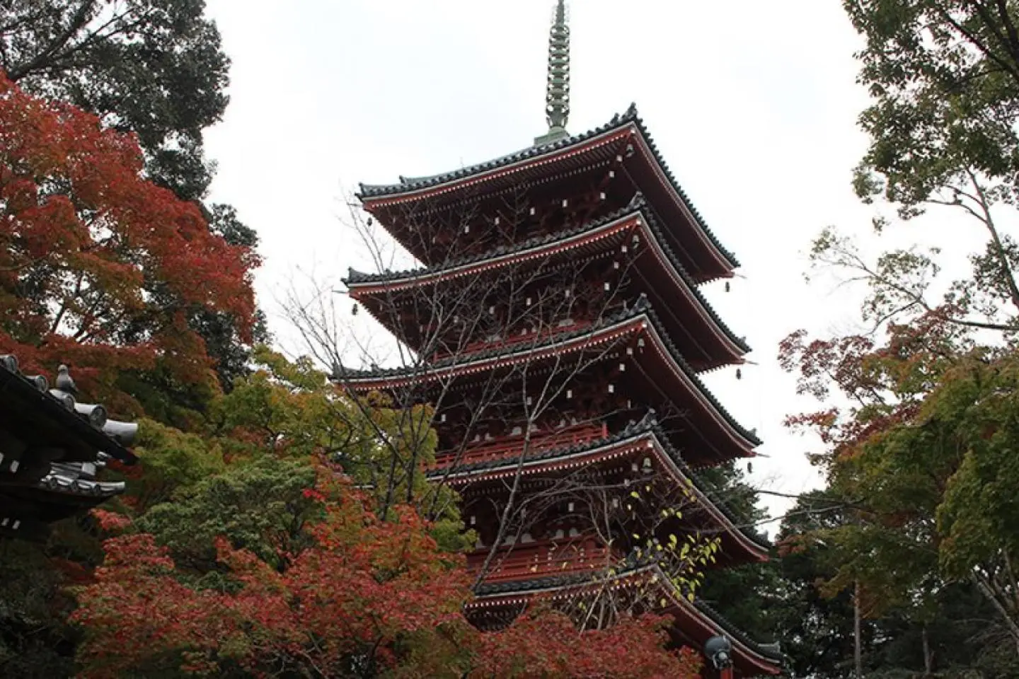 照片由: Kochi Prefecture