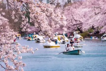 Chidorigafuchi Park in Tokyo (Photo: picture cells)
