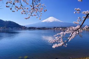 Fuji Five Lakes in cherry blossom season