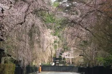 Kakunodate