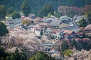 Mount Yoshino, Nara