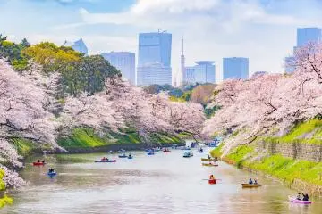 Chidorigafuchi, Tokyo (Photo: IamDoctorEgg / Shutterstock.com)