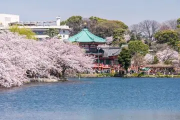 Ueno Park, Tokyo (Photo: Pabkov / Shutterstock.com)