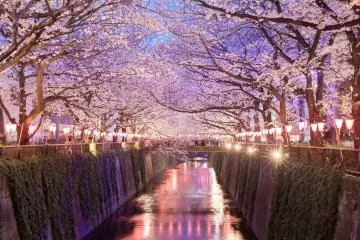 Nakameguro, Tokyo (Photo: Sakarin Sawasdinaka / Shutterstock.com)