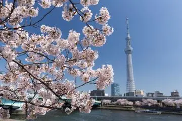 Sumida River, Asakusa, Tokyo (Photo: yoshi0511 / Shutterstock.com)