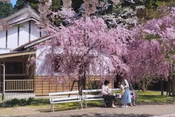 Utsubuki Park, Tottori Prefecture