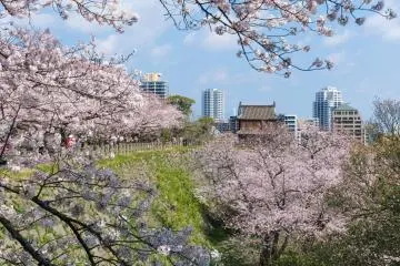 Fukuoka Castle & Maizuru Park, Fukuoka