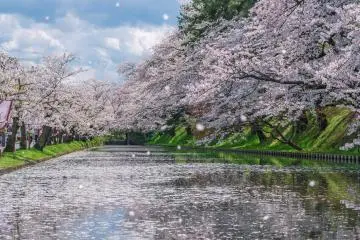 Hirosaki castle moat 