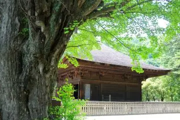 Le Temple Shiramizu Amidadō à Iwaki