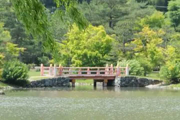 Vue sur les tortues de l'étang et le deuxième pont