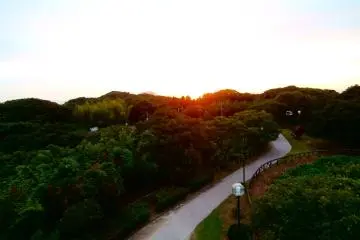 Shiomi Park surrounded by trees