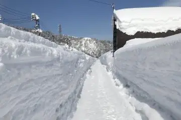 도로변은 이제 눈의 통로로 변했다