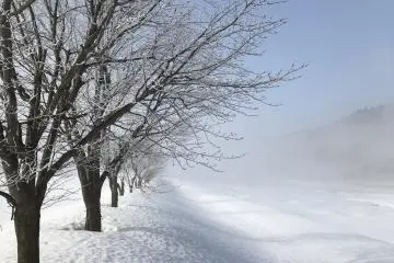 한겨울에도 여전히 아름다움은 남아있다.