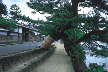 Rue historique Shiomi Nawate, au bord des douves.