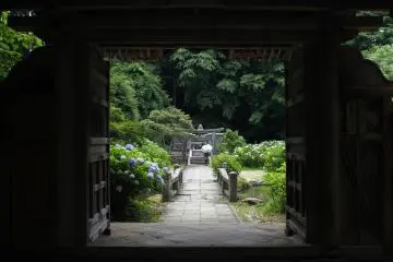 Ambiance mystérieuse et hors du temps au temple Gesshô-ji.