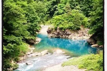 Que Faire à Akita ? 