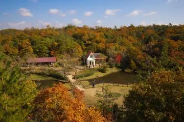Top 10 de lugares en Japón inspirados por el Studio Ghibli