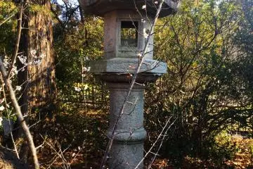 An antique stone lantern with delicate plums