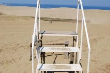 Stairway to the camel rides