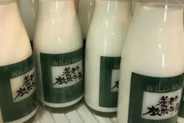 There was even local milk in glass bottles - charming!