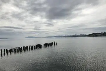 Lake Shinji