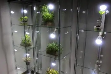 Feeding plants