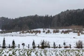 Looking out over a snowy field where the Jomon people once lived at Korekawa Jomon Museum
