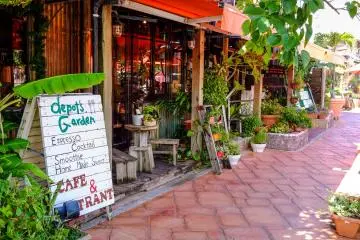Great summer garden cafes and restaurants can be found scattered around Depot Island