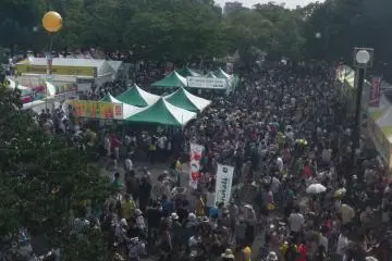 Brazil Festival 2026