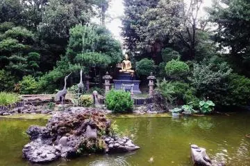 Tourtle pond. There are oodles of turtles and giant koi fishes as well.