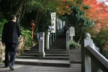 Then there are more steps...