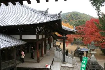 Surrounded by beauty, Jakkoin Temple