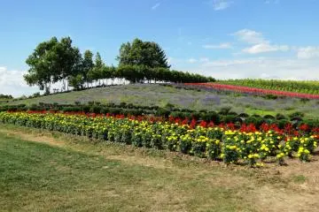 Un paysage multicolore 