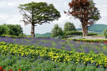 Un autre somptueux paysage