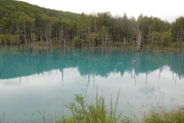 J'ai testé le woofing à Furano