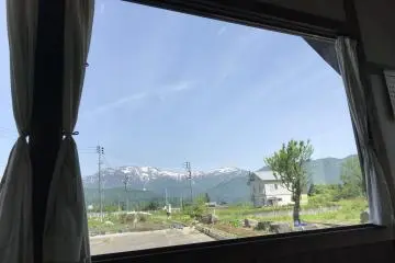A pleasant view out the window!