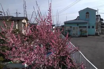 Street scene, Otsu 