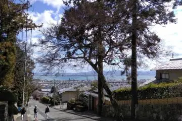 Lake Biwa from the hike to Toshogu Shrine