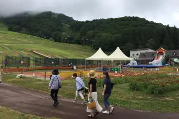 Giant trampolines (the green netting) can hold at least 10 people at a time. 