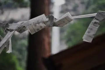 <p>오미쿠지; 폭포를 향해 뻗은 벚나무 가지에 묶여있던 운세쪽지</p>