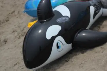 Children will love to play in the rippling waves. Isshiki Beach is a great family destination.