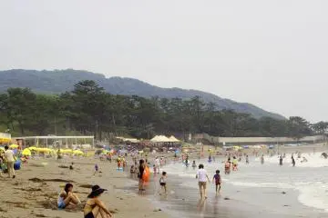This is how busy the beach was when I visited on a Saturday. Not too bad.