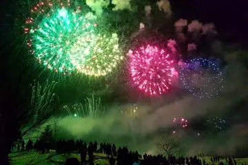 Beautiful fireworks light up the winter sky 