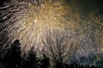 A burst of golden shower filled the night sky