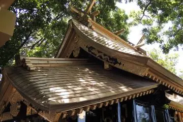 Gallery image